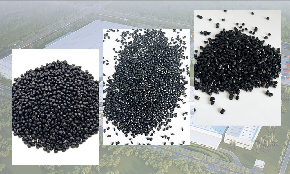 black masterbatc factory.jpg
