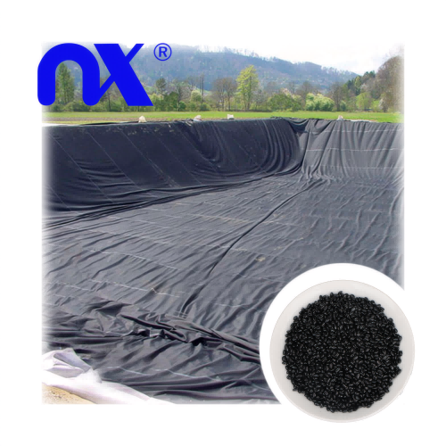 ماسترباتش الأسود