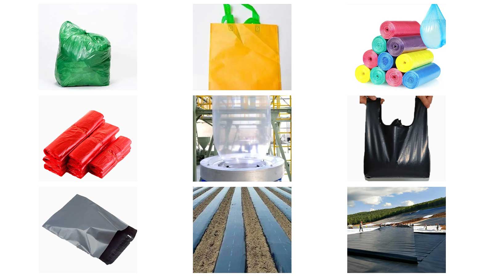 الشركة المصنعة للصبغة الرئيسية