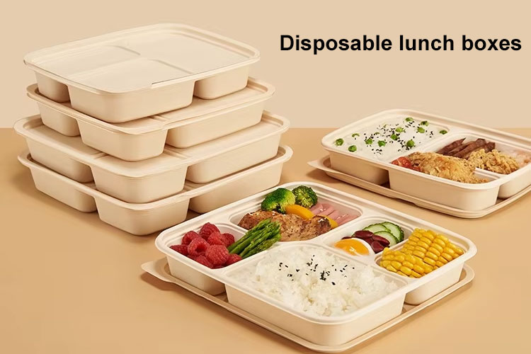 ডিসপোজেবল লাঞ্চ বক্স উৎপাদন.jpg